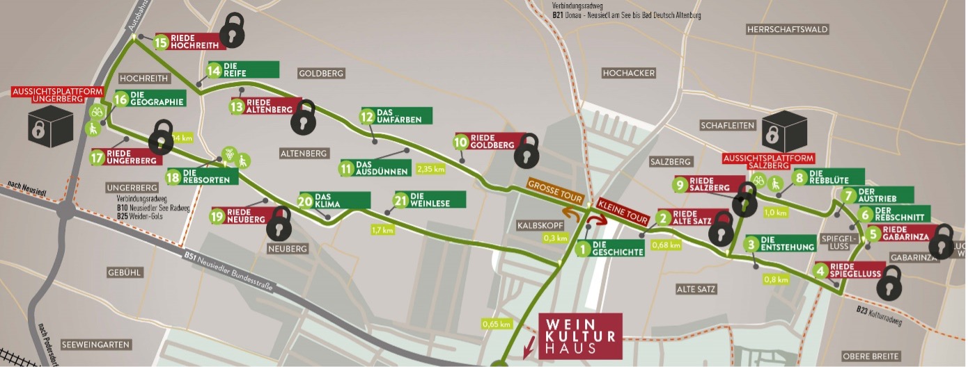 Weinwandern in Gols